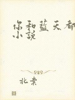 你和蓝天都重要小说