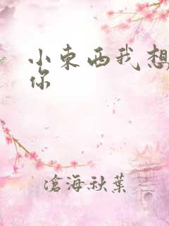 小东西我想弄坏你