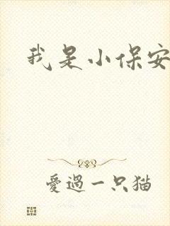 我是小保安