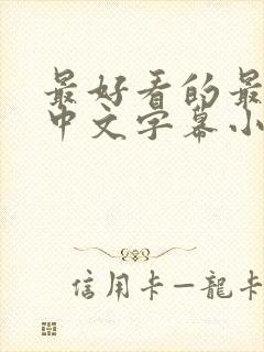 最好看的最新的中文字幕小说