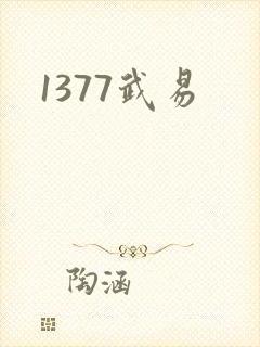 1377武易