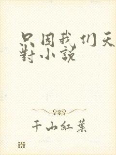 只因我们天生一对小说