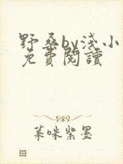 野桑by浅小说免费阅读