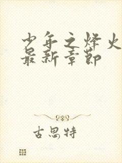 少年之烽火岁月最新章节