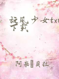 旋风少女txt下载