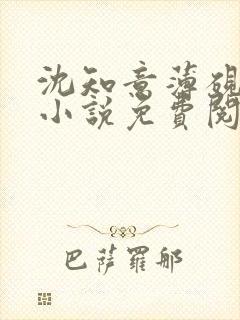 沈知意薄砚霆的小说免费阅读