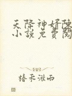 天降神婿陈黄皮小说免费阅读