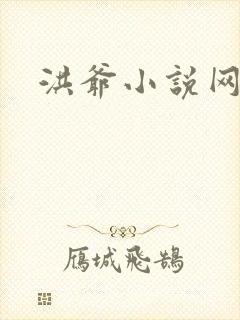 洪爷小说网