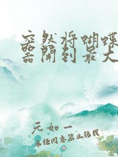 突然将蝴蝶遥控器开到最大