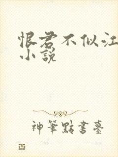 恨君不似江楼月小说