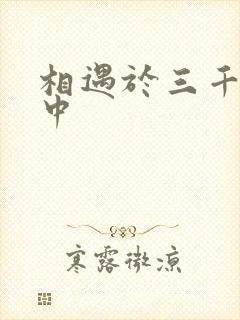 相遇于三千肉文中