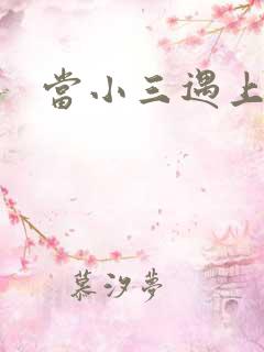 当小三遇上小四