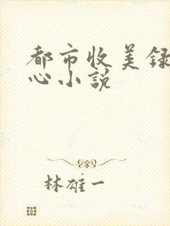 都市收美录宁素心小说