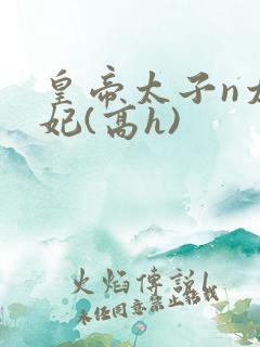 皇帝太子n太子妃(高h)