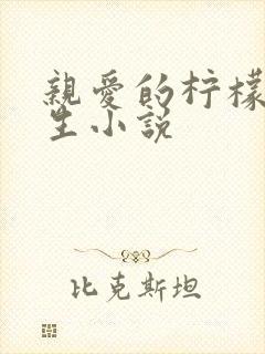 亲爱的柠檬精先生小说