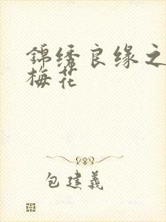 锦绣良缘之驿寄梅花