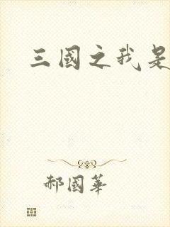 三国之我是华雄