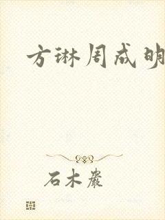 方琳周成明小说