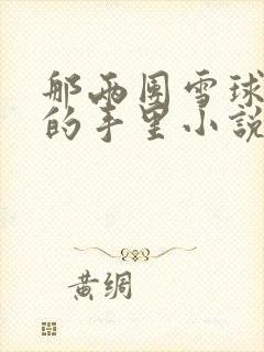 那两团雪球在他的手里小说