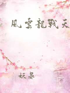 风云龙战天下