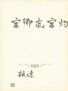 宫卿岚宫灼小说