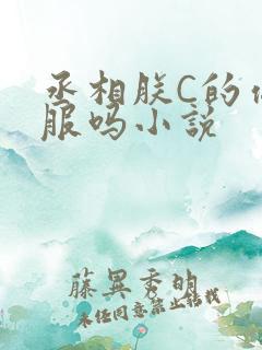 丞相朕C的你舒服吗小说