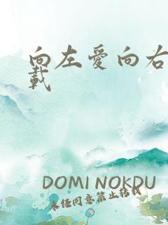 向左爱向右爱下载