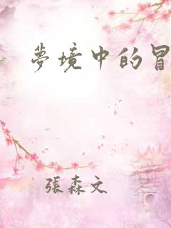 梦境中的冒险家