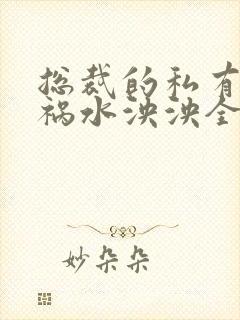 总裁的私有宝贝祸水泱泱全文阅读