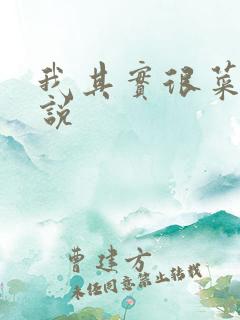 我其实很菜的小说