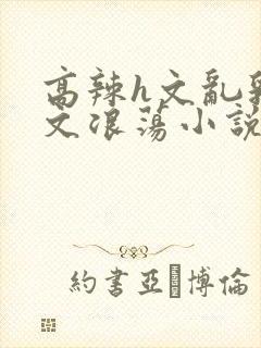 高辣h文乱乳h文浪荡小说