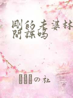 刚的老婆林彦是间谍吗