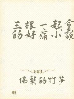 三根一起会坏掉的好痛小说