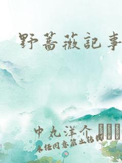 野蔷薇记事薄