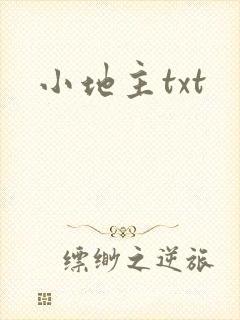 小地主txt