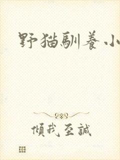 野猫驯养小说
