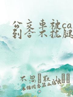 公交车被cao到合不拢腿视频