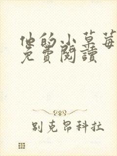 他的小草莓全文免费阅读