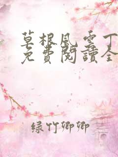 草根风云丁长生免费阅读全本