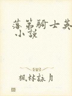 落第骑士英雄谭 小说