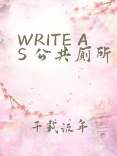 WRITE AS 公共厕所