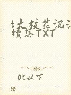 t大校花沉浮录续集TXT