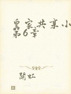 皇家共享小公主第6章