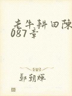 老牛耕田陈雪1087章