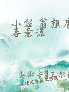 小说 翁想房中春意浓