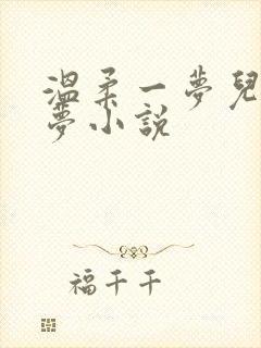 温柔一梦儿媳林梦小说