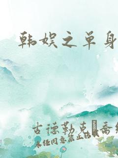 韩娱之单身爸爸