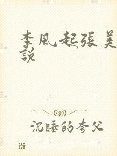 李风起张美丽小说