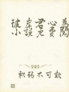 彼岸君心为我倾小说免费阅读