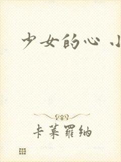 少女的心 小说